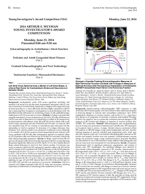 lv cecchetto|Intervendor Consistency and Accuracy of Left Ventricular Volume .